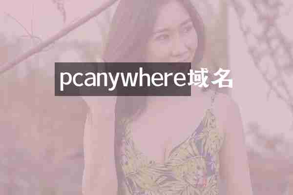 pcanywhere域名
