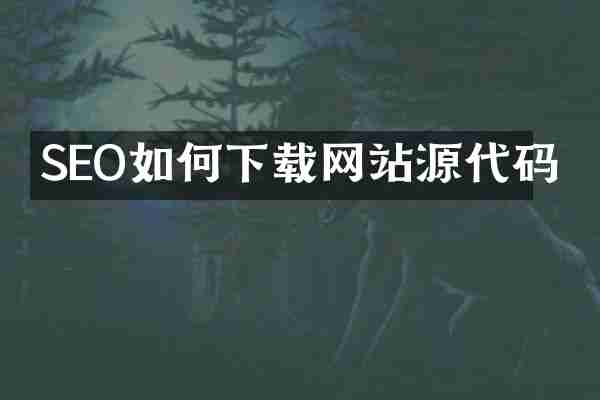 SEO如何下载网站源代码