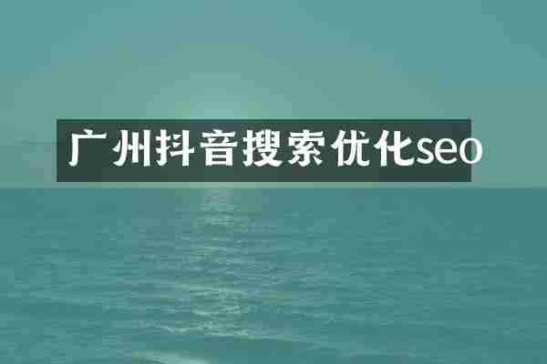 广州抖音搜索优化seo