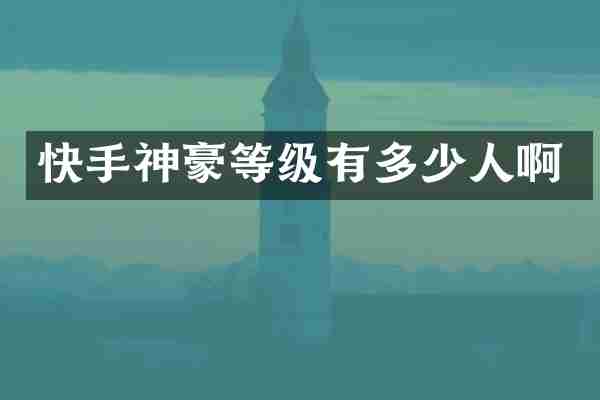 快手神豪等级有多少人啊