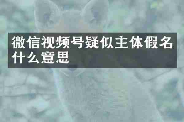 微信视频号疑似主体假名什么意思