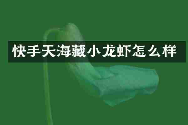 快手天海藏小龙虾怎么样