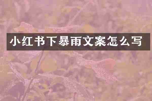小红书下暴雨文案怎么写