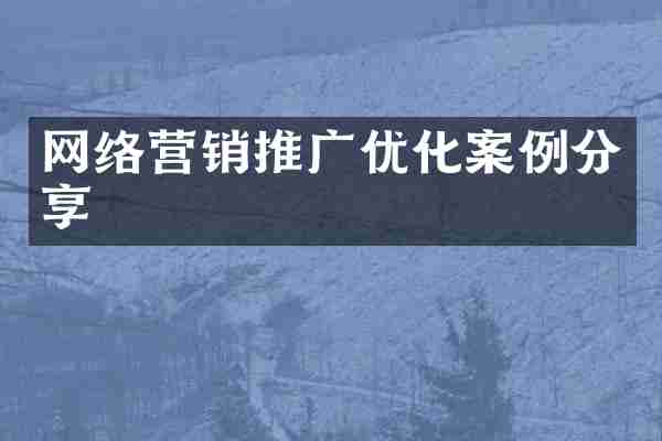 网络营销推广优化案例分享