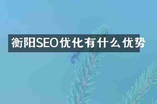 衡阳SEO优化有什么优势