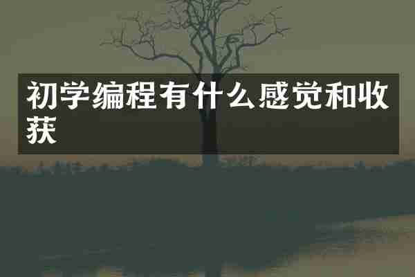 初学编程有什么感觉和收获