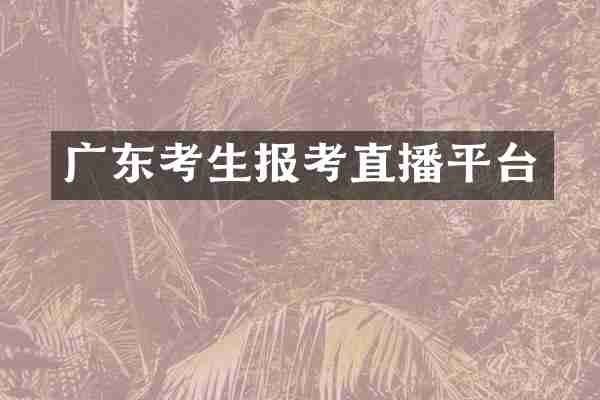 广东考生报考直播平台
