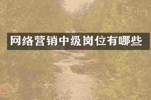 网络营销中级岗位有哪些