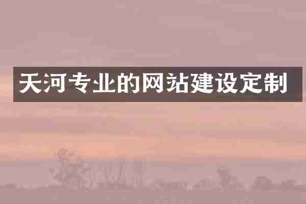 天河专业的网站建设定制