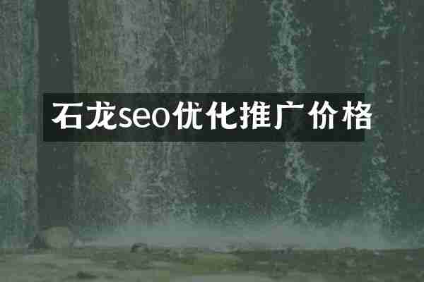 石龙seo优化推广价格