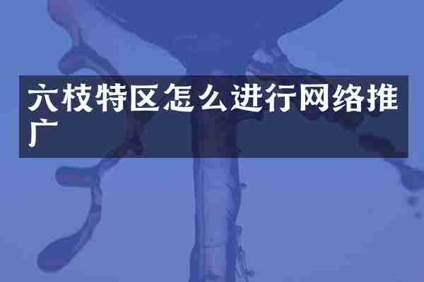 六枝特区怎么进行网络推广