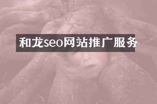 和龙seo网站推广服务