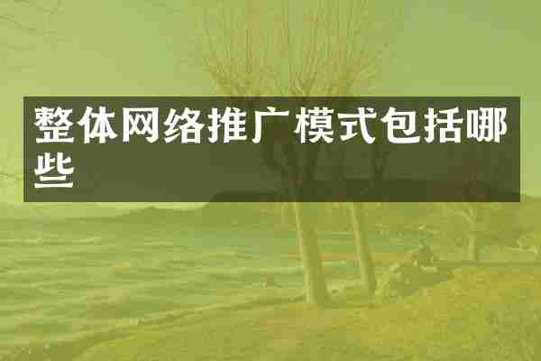 整体网络推广模式包括哪些