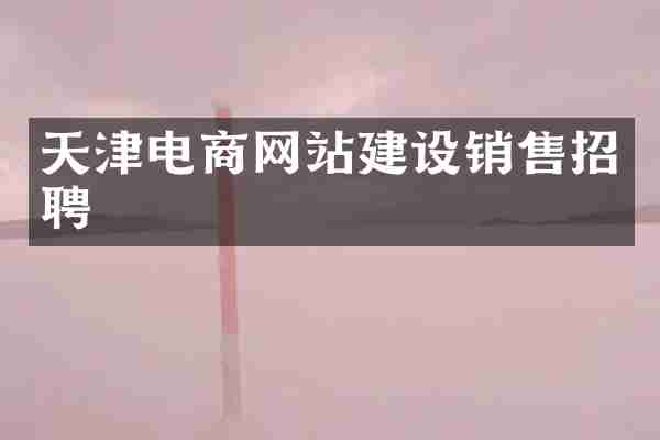 天津电商网站建设销售招聘