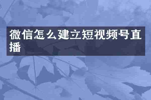 微信怎么建立短视频号直播