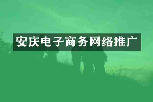 安庆电子商务网络推广