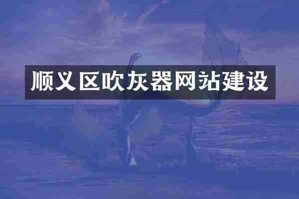 顺义区吹灰器网站建设