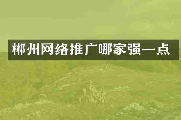 郴州网络推广哪家强一点