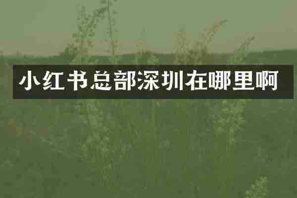 小红书总部深圳在哪里啊