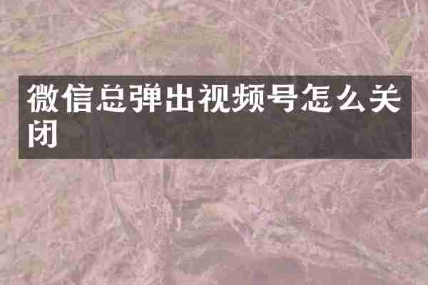 微信总弹出视频号怎么关闭