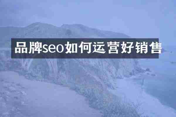 品牌seo如何运营好销售