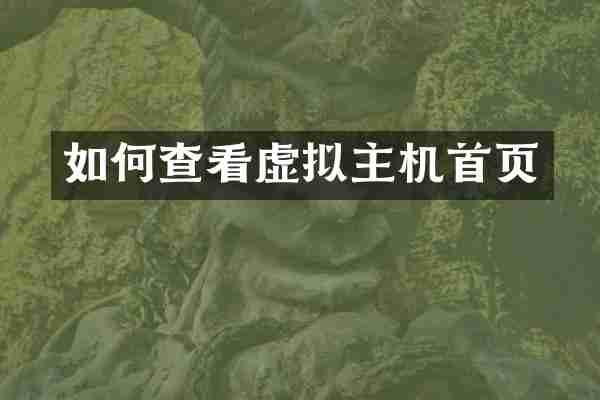 如何查看虚拟主机首页
