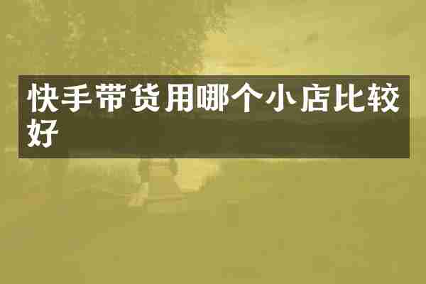 快手带货用哪个小店比较好