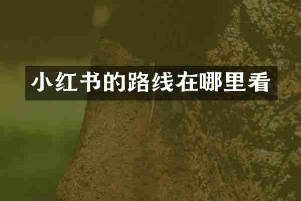 小红书的路线在哪里看