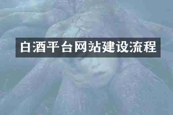 白酒平台网站建设流程