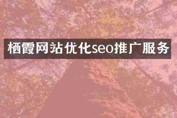 栖霞网站优化seo推广服务