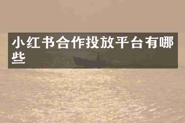 小红书合作投放平台有哪些