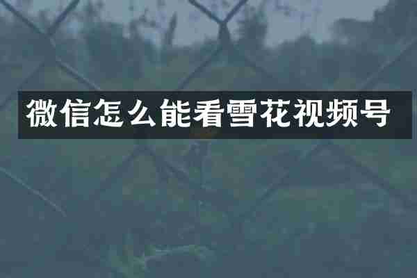 微信怎么能看雪花视频号