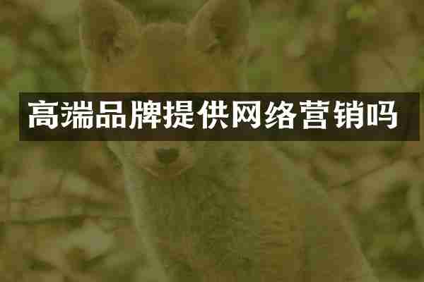 高端品牌提供网络营销吗