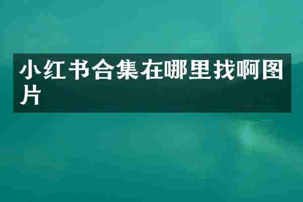 小红书合集在哪里找啊图片