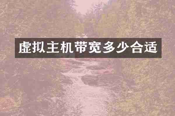 虚拟主机带宽多少合适