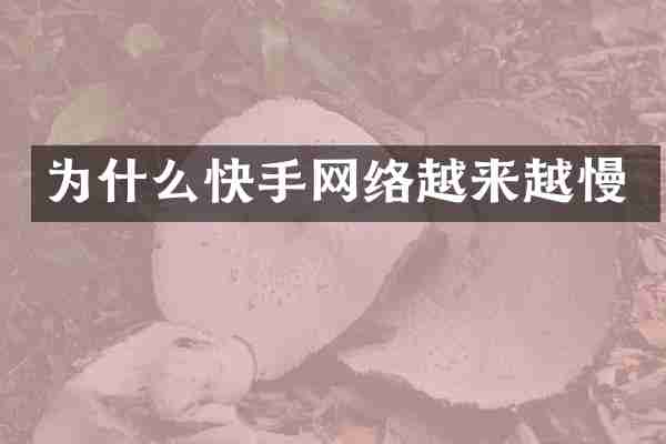 为什么快手网络越来越慢