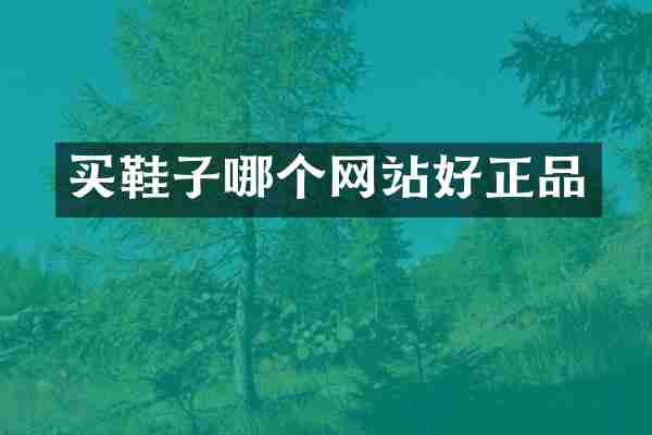 买鞋子哪个网站好正品