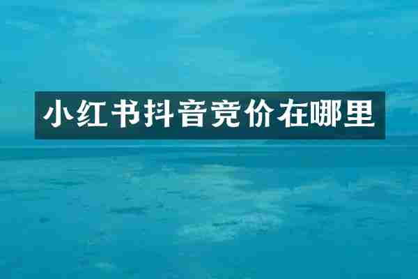 小红书抖音竞价在哪里