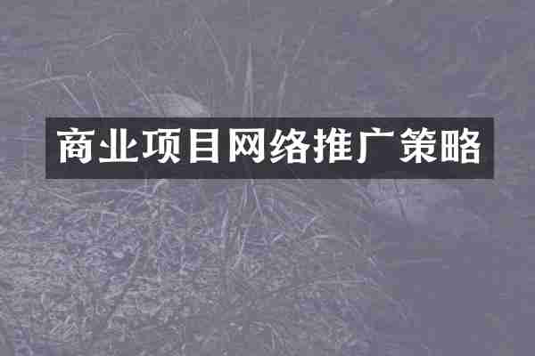 商业项目网络推广策略