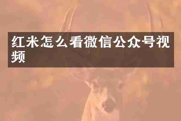 红米怎么看微信公众号视频