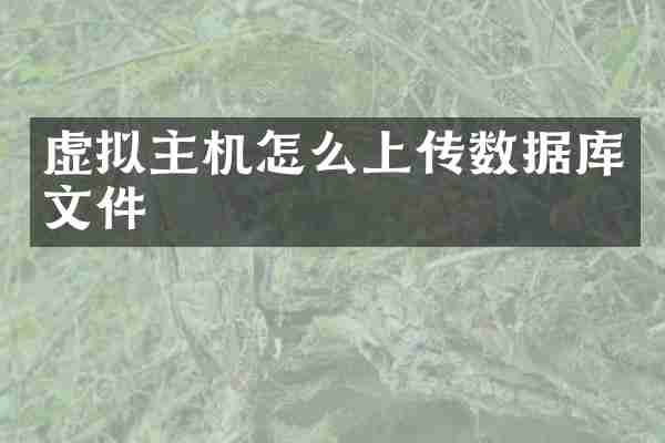 虚拟主机怎么上传数据库文件