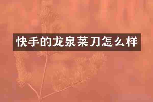 快手的龙泉菜刀怎么样