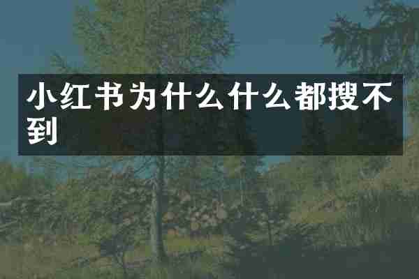 小红书为什么什么都搜不到