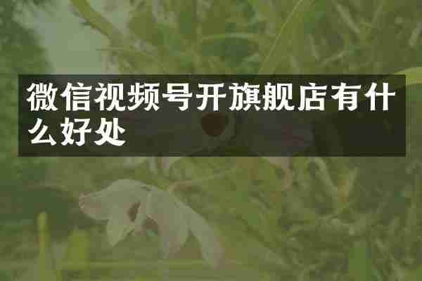 微信视频号开旗舰店有什么好处