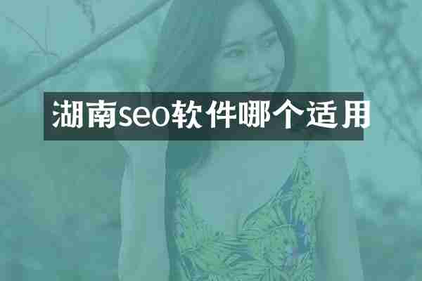 湖南seo软件哪个适用