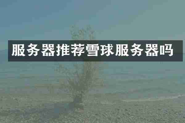 服务器推荐雪球服务器吗