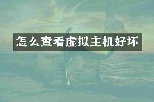 怎么查看虚拟主机好坏