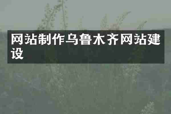 网站制作乌鲁木齐网站建设