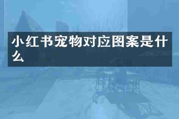 小红书宠物对应图案是什么