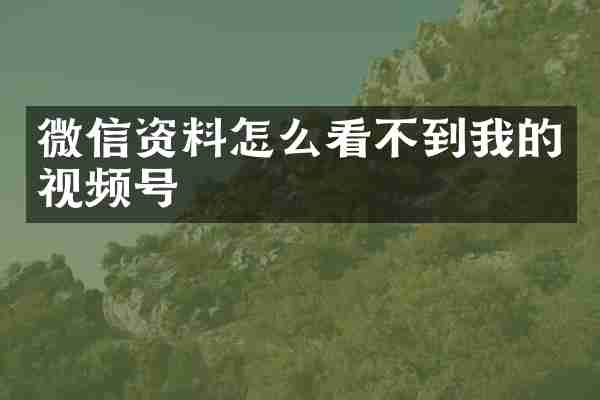微信资料怎么看不到我的视频号
